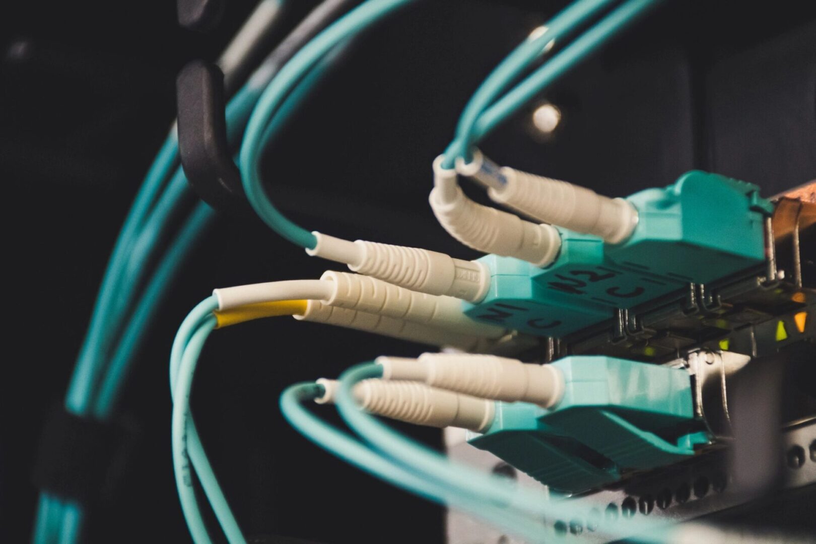 Close-up of various network cables connected to a device.